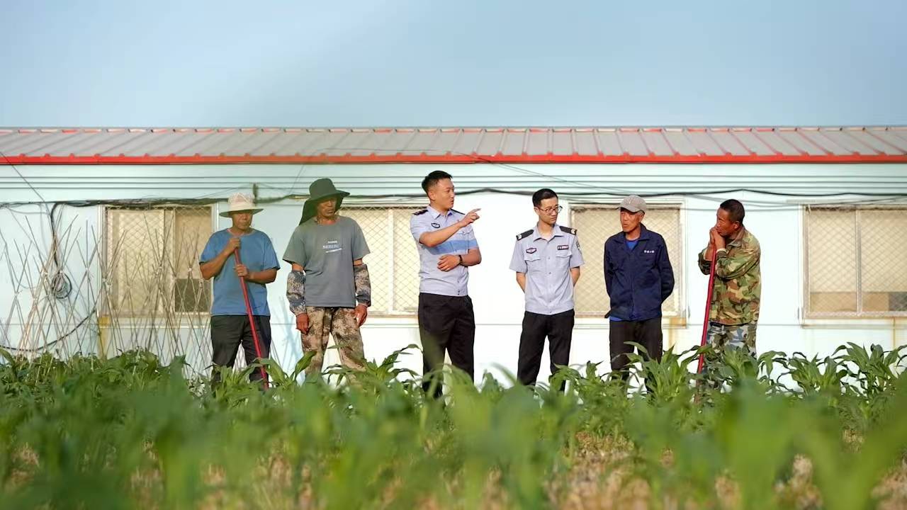图片4 图片4