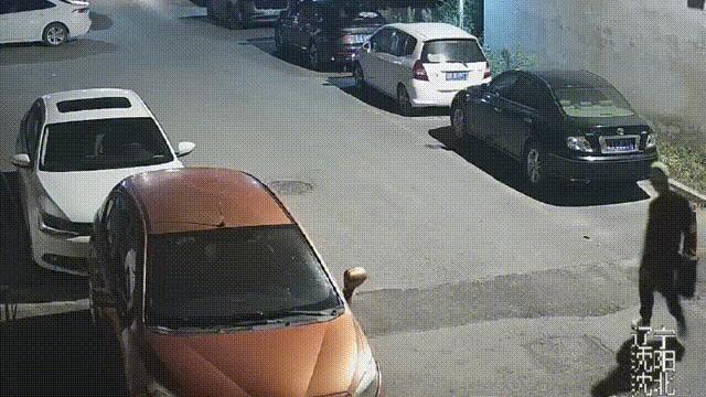 图片13 图片13