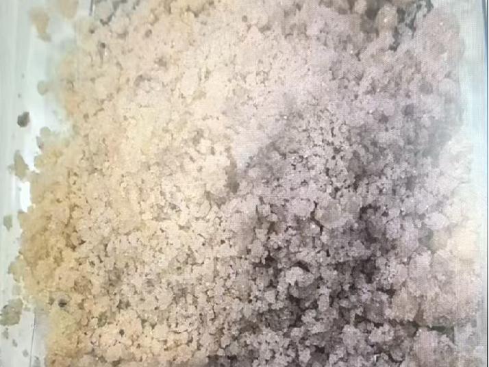 图片12 图片12